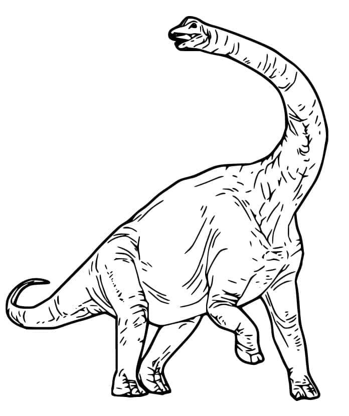 Desenho de Braquiossauro Muito Grande para Colorir