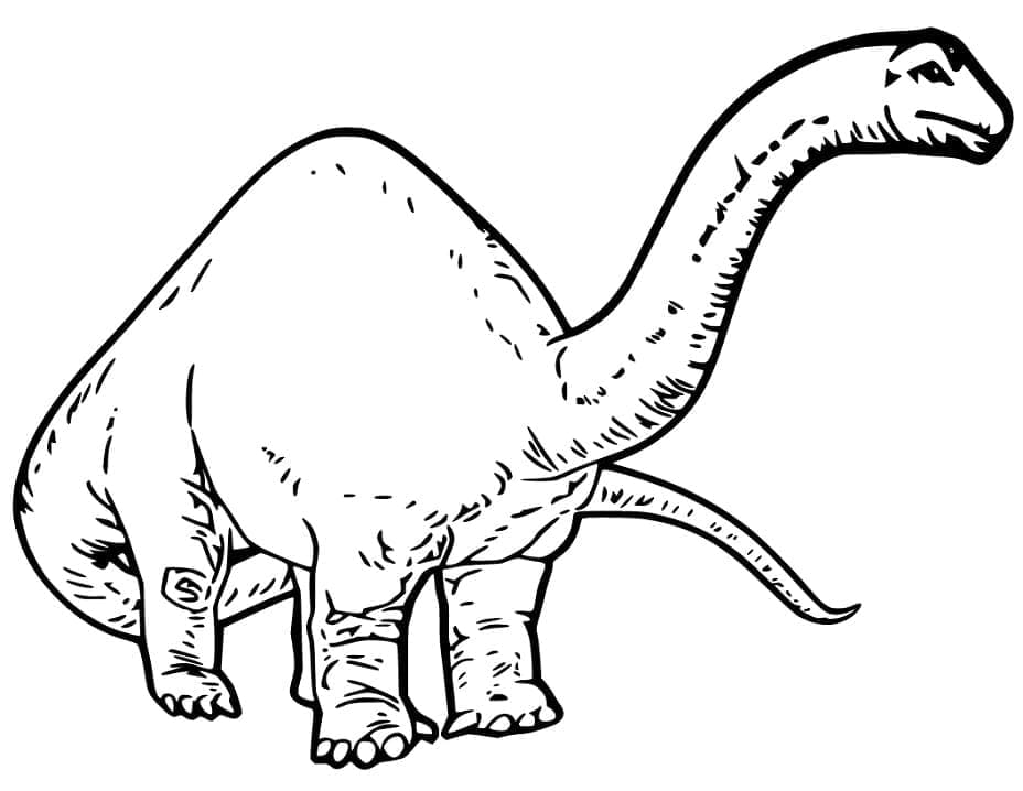 Desenho de Grande Braquiossauro para Colorir