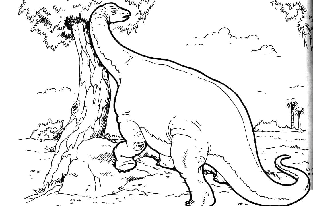 Desenhos de Braquiossauro para Colorir