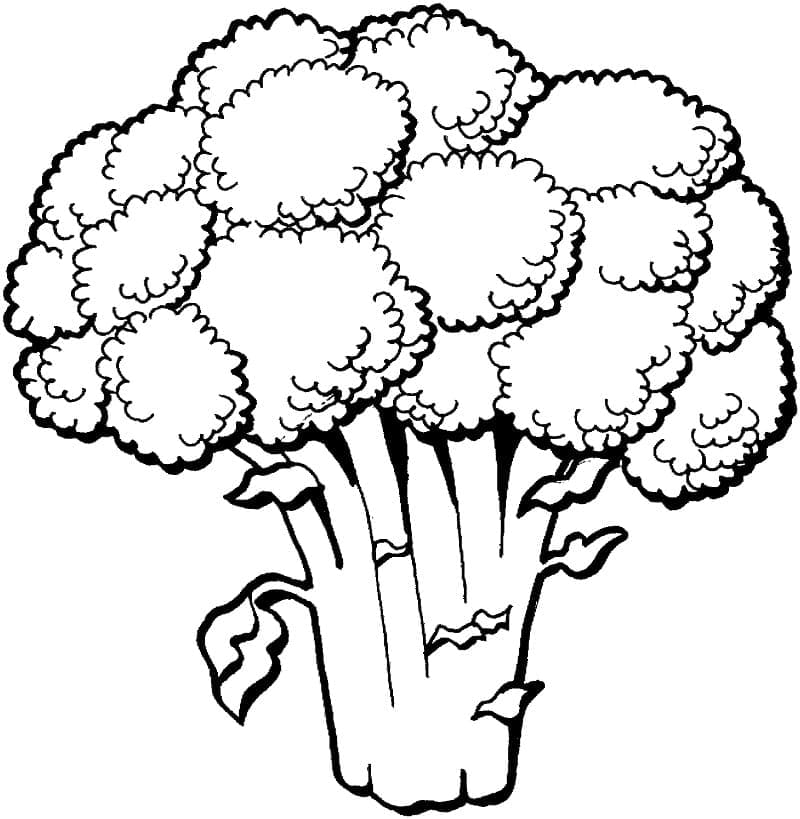 Baixar Desenho de Brocolis Grátis para Colorir