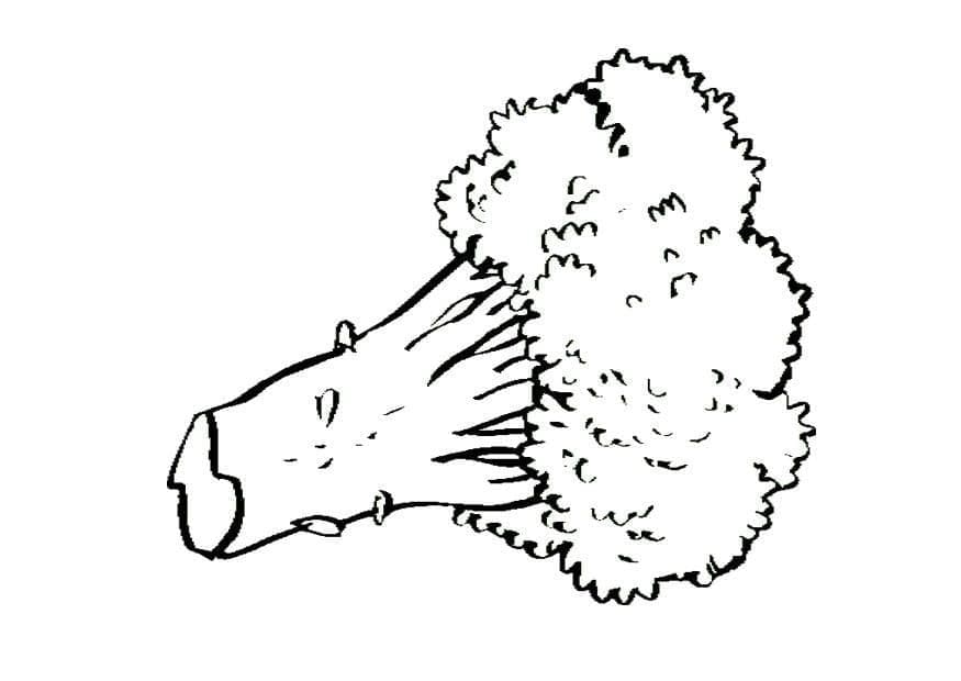 Desenho de Brocolis para Crianças para Colorir