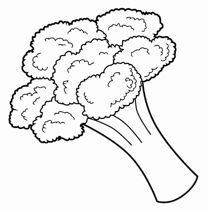 Desenho de Brocolis para Imprimir e Colorir