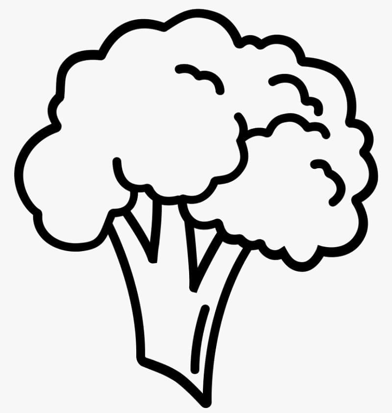 Desenho Foto de Brocolis para Colorir
