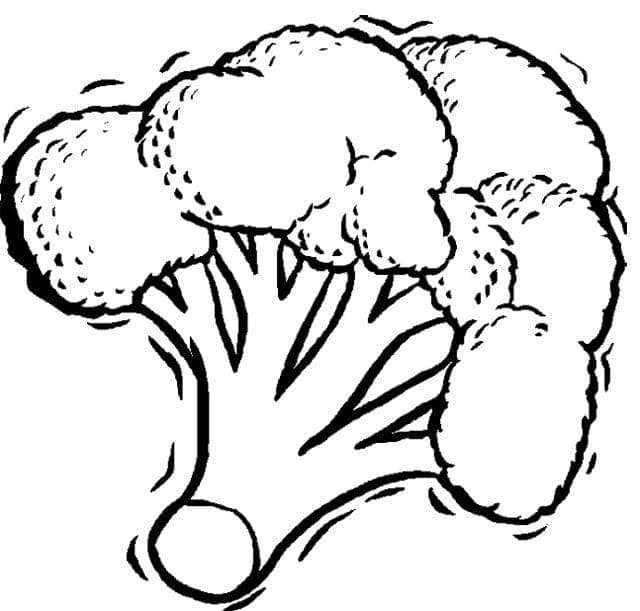 Desenho Imprimivel de Brocolis para Colorir com Giz de Cera