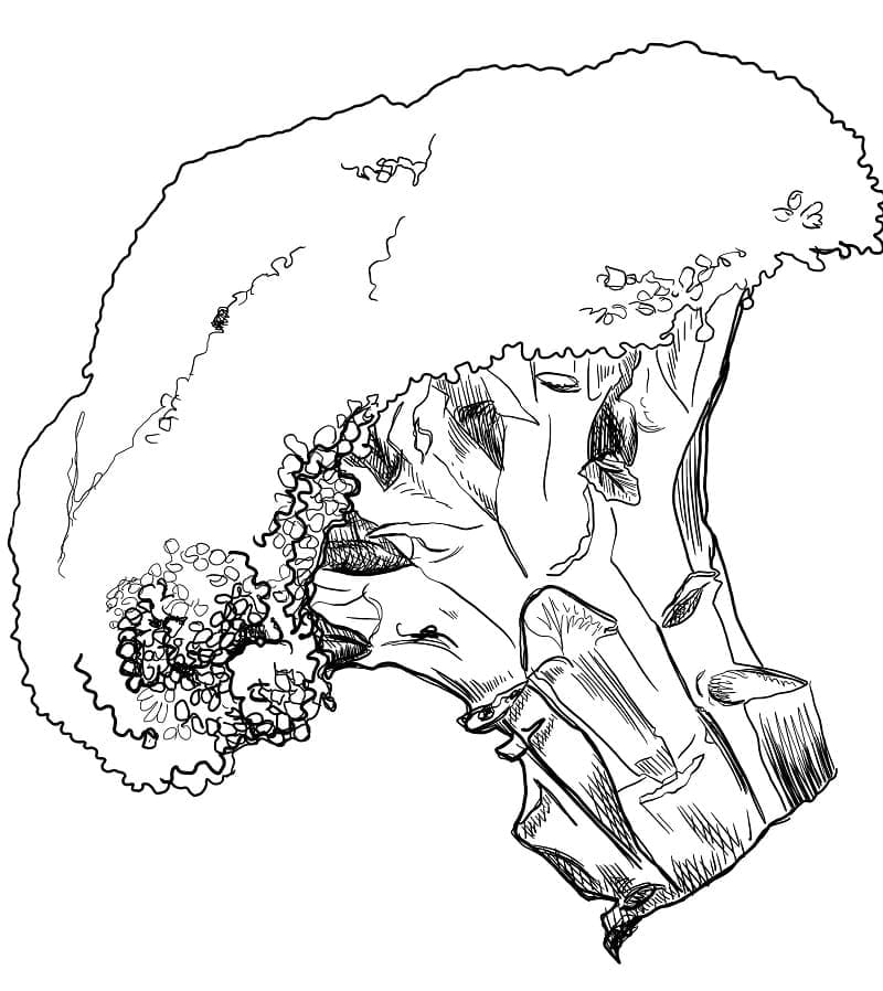 Desenhos de Brócolis para Colorir