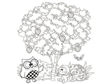 Desenho Educativo de Bubu e as Corujinhas para Colorir
