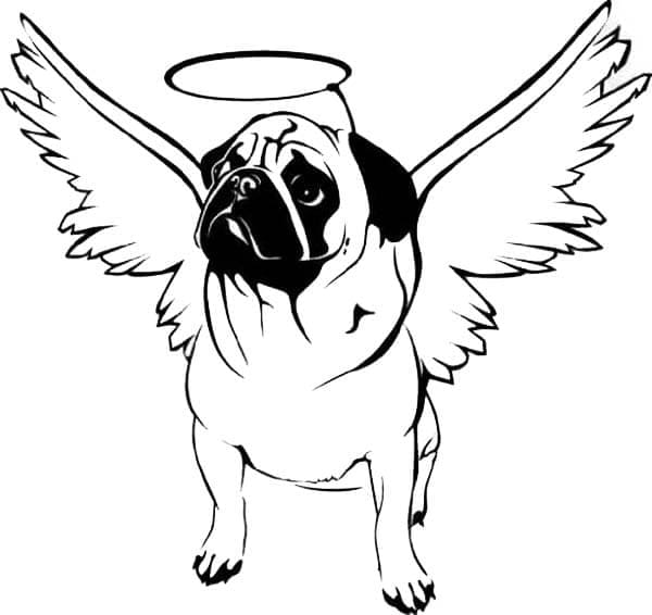 Desenho de Cachorro Pug com Asas para Colorir
