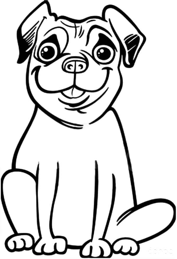 Desenho de Cachorro Pug Feliz para Colorir