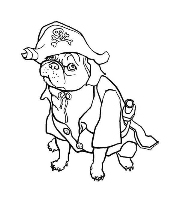 Desenho de Pirata Pug para Colorir