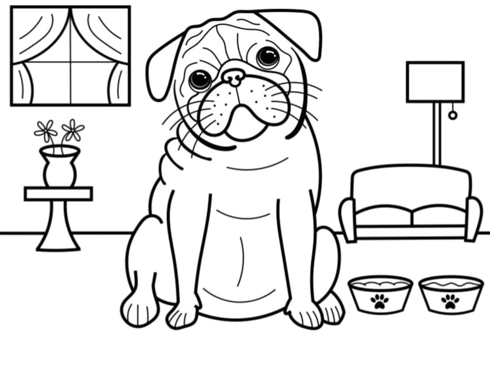 Desenho de Pug Curioso para Colorir