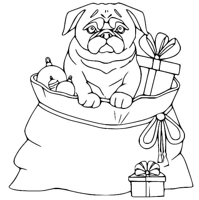 Desenho de Pug e Presentes de Natal para Colorir