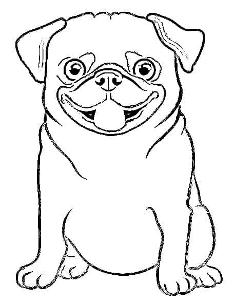Desenho de Pug Feliz para Colorir