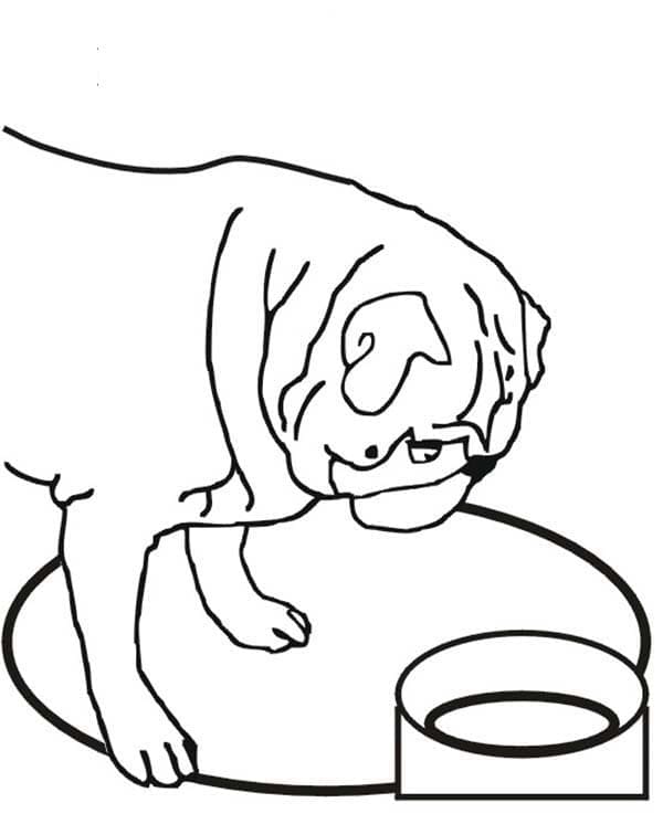 Desenho de Pug Grátis para Crianças para Colorir