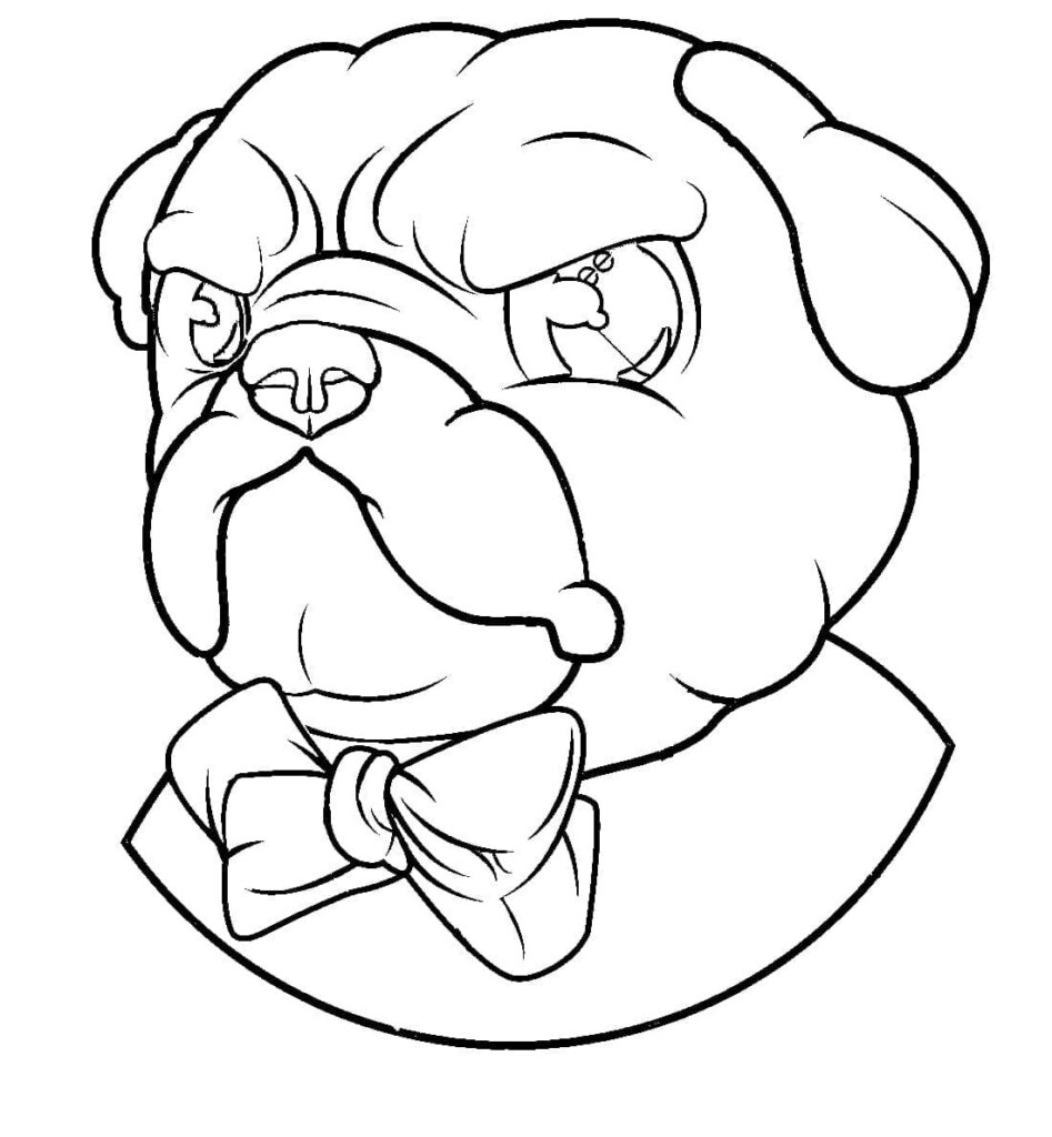Desenho de Pug Irritado para Colorir