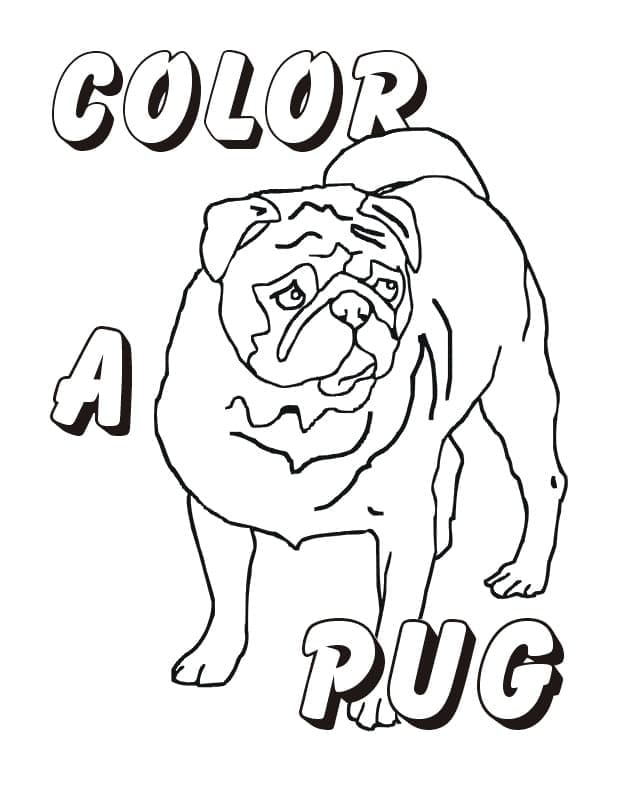 Desenhos de Cachorro Pug para Colorir