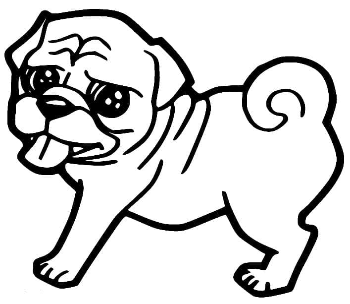 Desenho de Pug Simples para Colorir