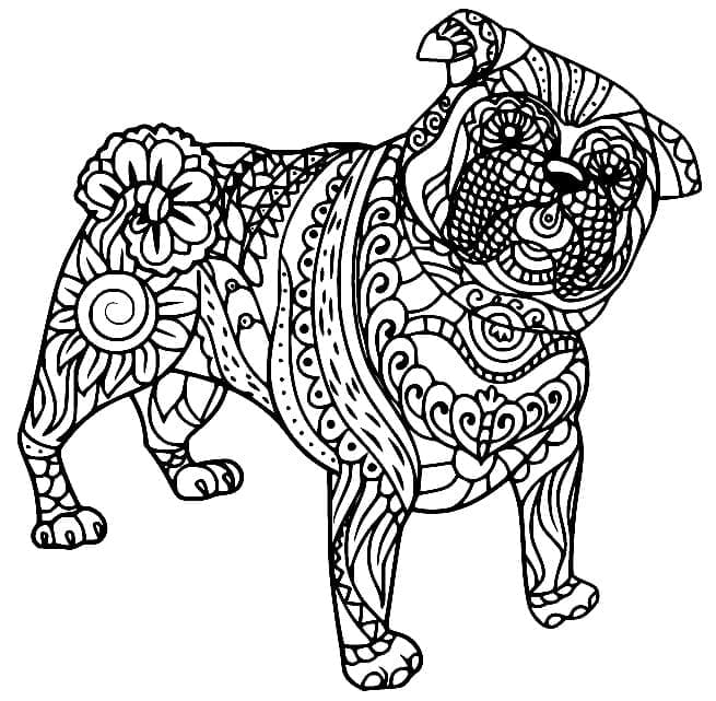 Desenho de Pug Zentangle para Colorir