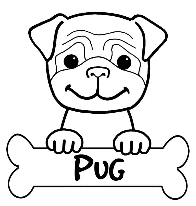 Desenho de um Lindo Pug para Colorir