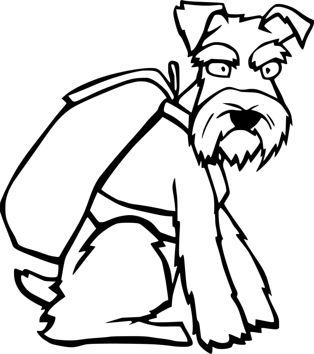 Desenho de Schnauzer de Desenho Animado para Colorir