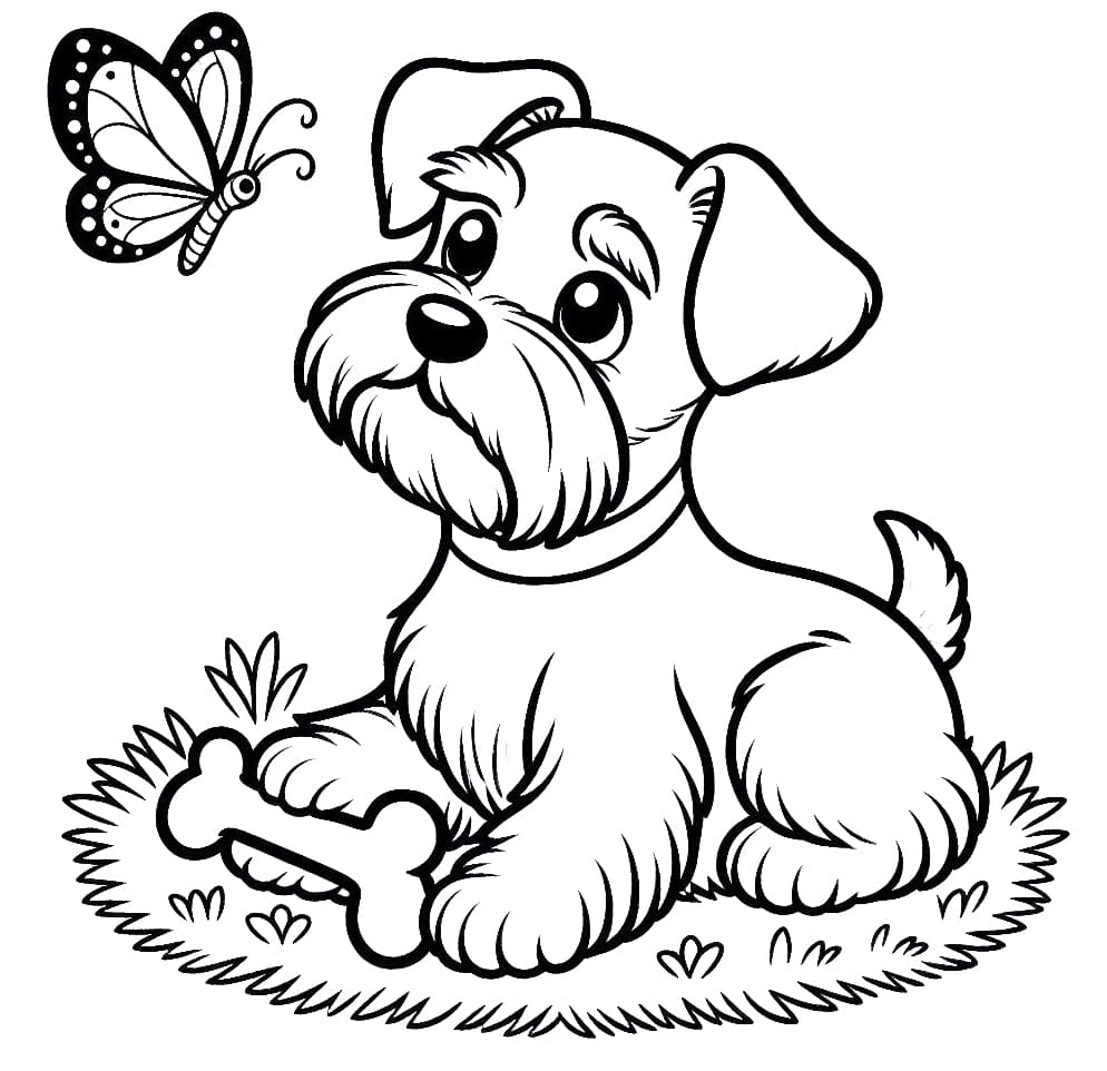Desenho de Schnauzer e Borboleta para Colorir
