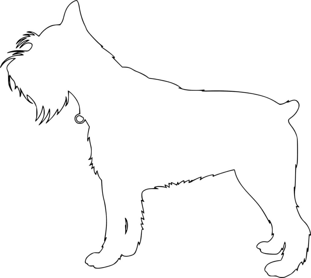 Desenho de Schnauzer Fácil para Colorir