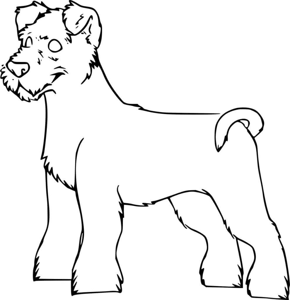 Desenho de Schnauzer Grátis para Colorir