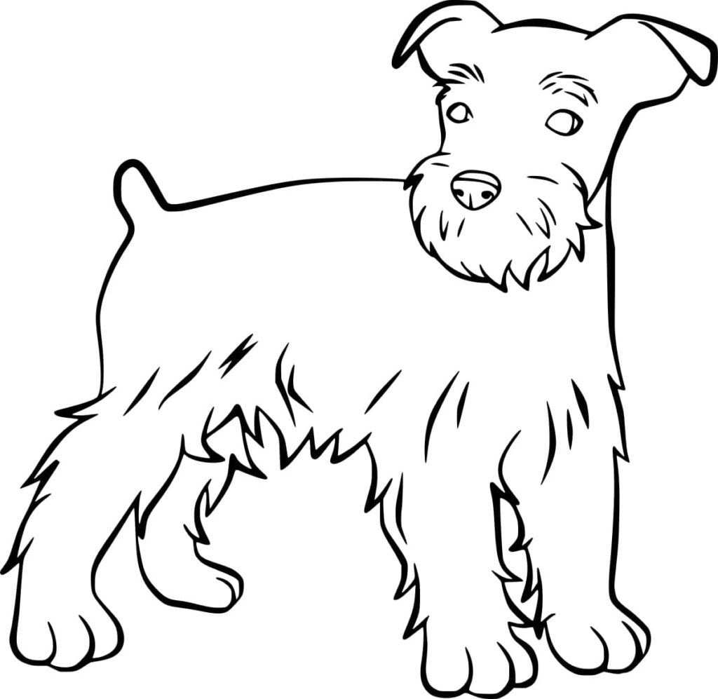 Desenho de Schnauzer Grátis para Crianças para Colorir