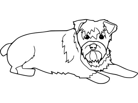 Desenho de Schnauzer para crianças para Colorir