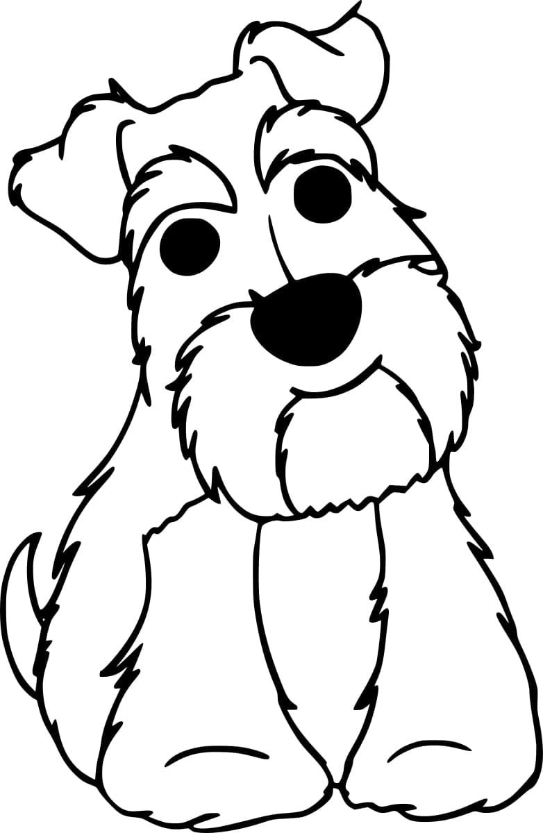 Desenho de um Schnauzer Fofo para Colorir