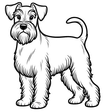 Desenho de Um Schnauzer para Colorir