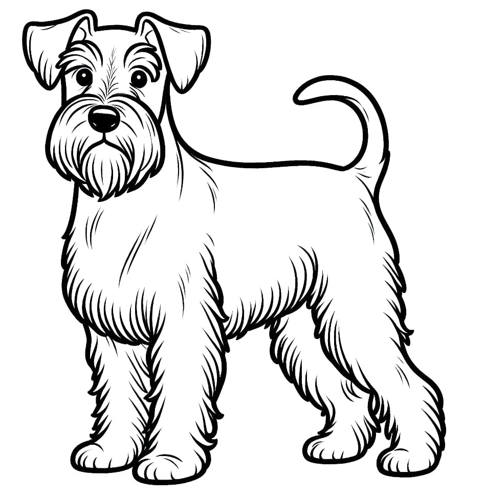 Desenhos de Cachorro Schnauzer para Colorir