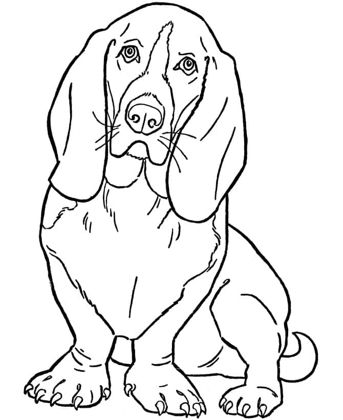 Desenho de Cachorro Beagle Pdf para Colorir