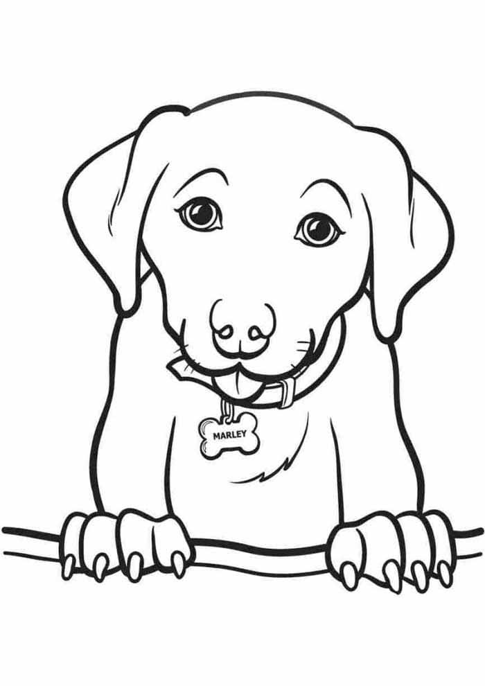 Desenho de um Cachorro Fofo para Colorir