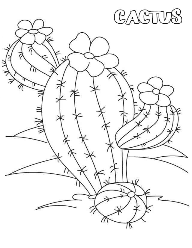 Desenho de Cacto Normal para Colorir
