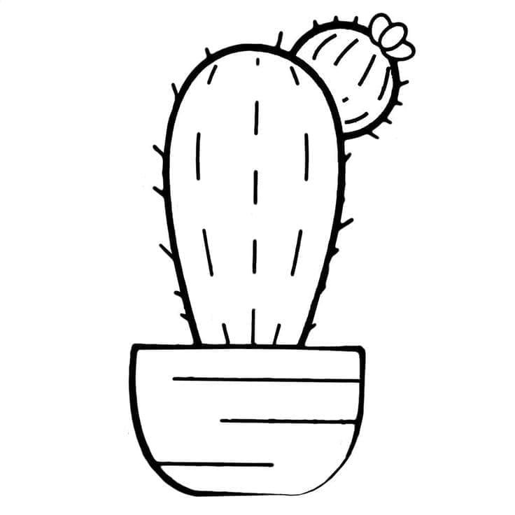 Desenho de Cacto Simples para Colorir