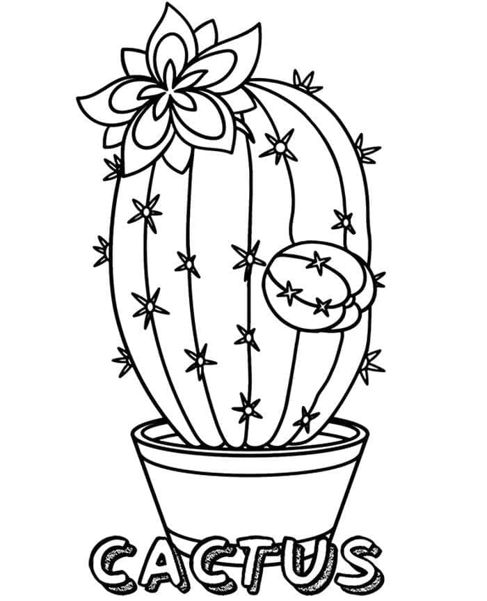 Desenho de Cacto em Vaso para Colorir