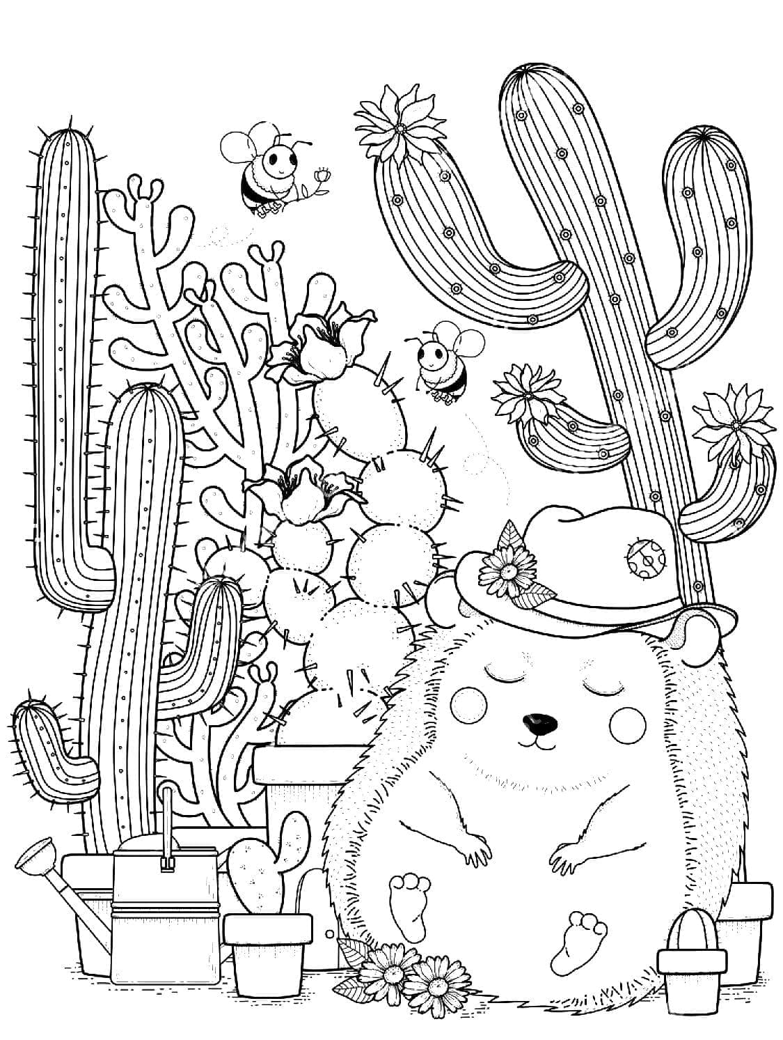 Desenho de Cactos e Ouriço para Colorir