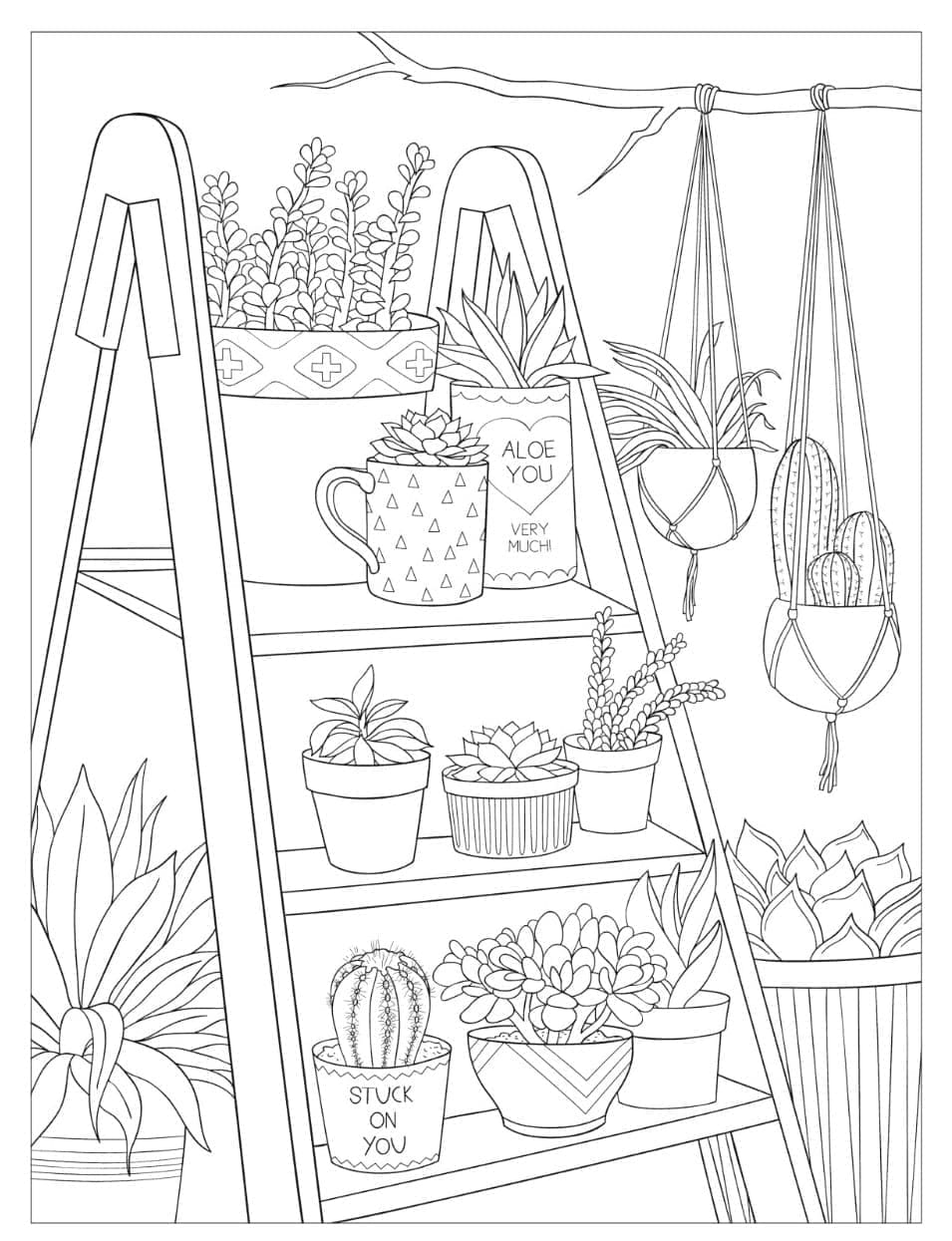 Desenho de Cactos para Colorir