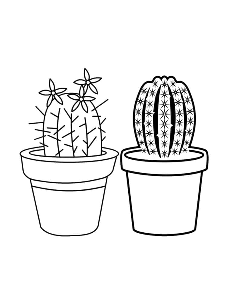 Desenho de Dois Cactos para Colorir