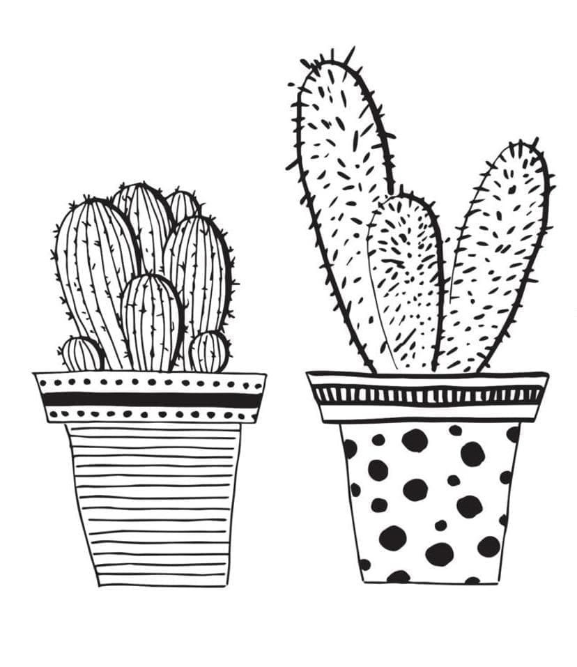 Desenho de Dois Vasos de Cactos para Colorir