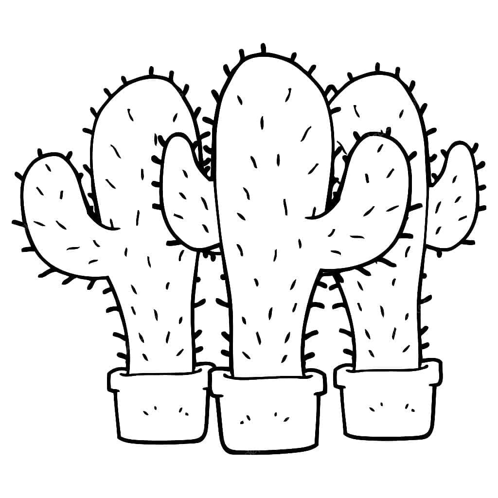 Desenho de Três Cactos para Colorir