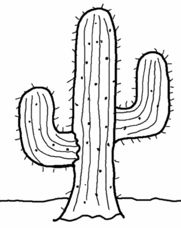 Desenho de um Cacto Normal para Colorir