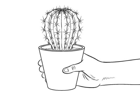 Desenho de Um Cacto em Vaso para Colorir