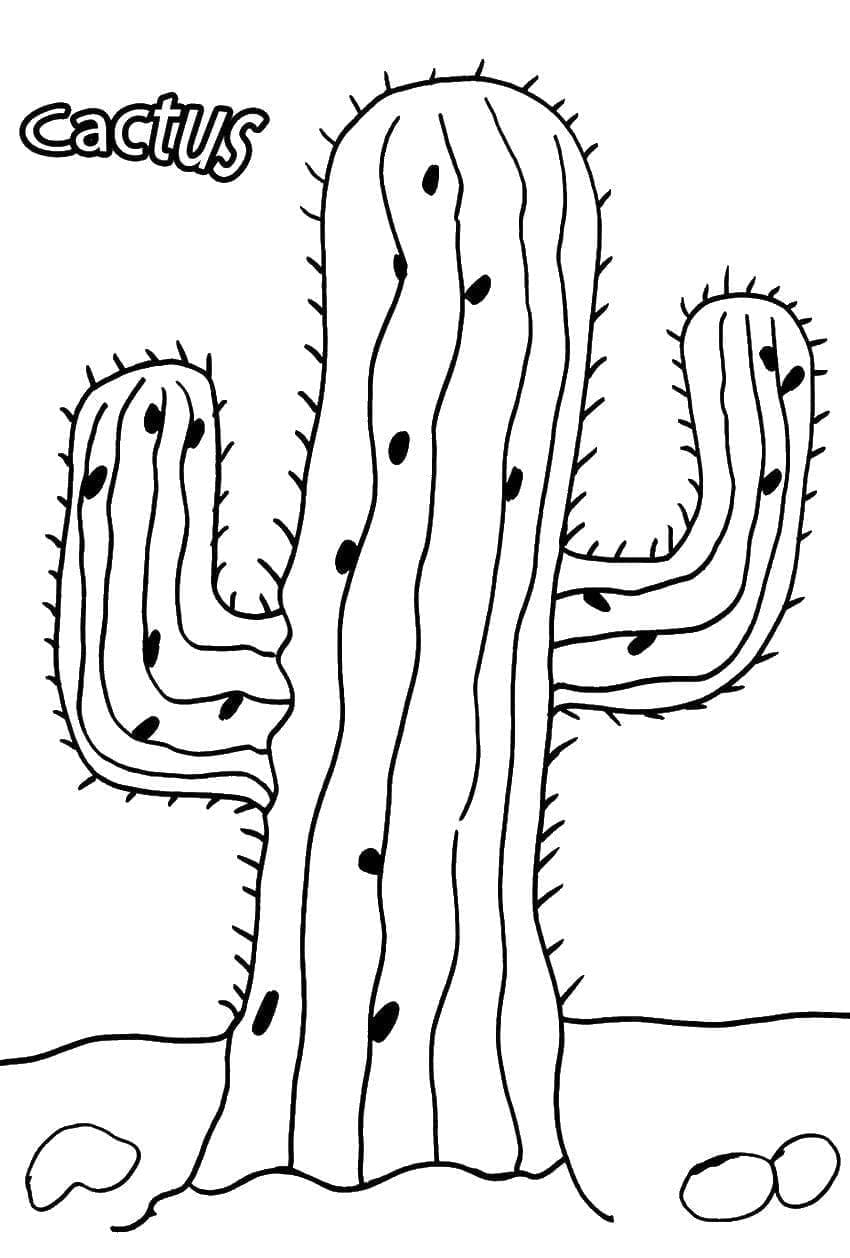 Desenho de um Cacto para Colorir