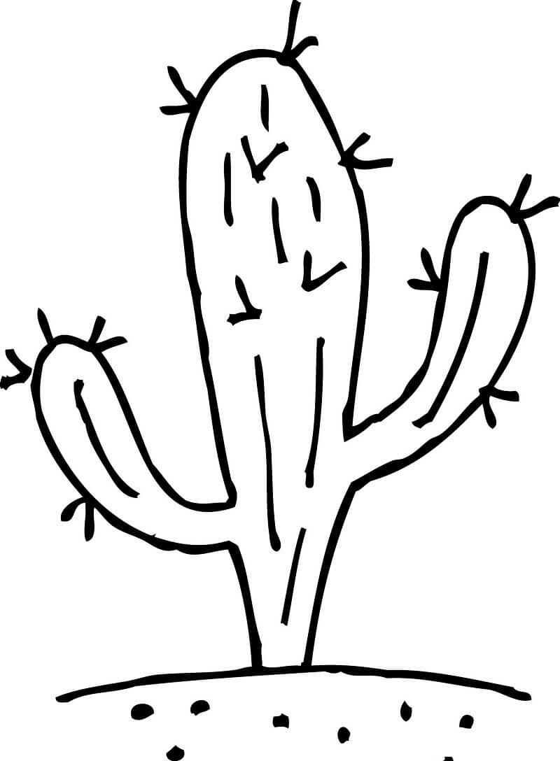 Baixar Desenho Cacto Simples para Imprimir
