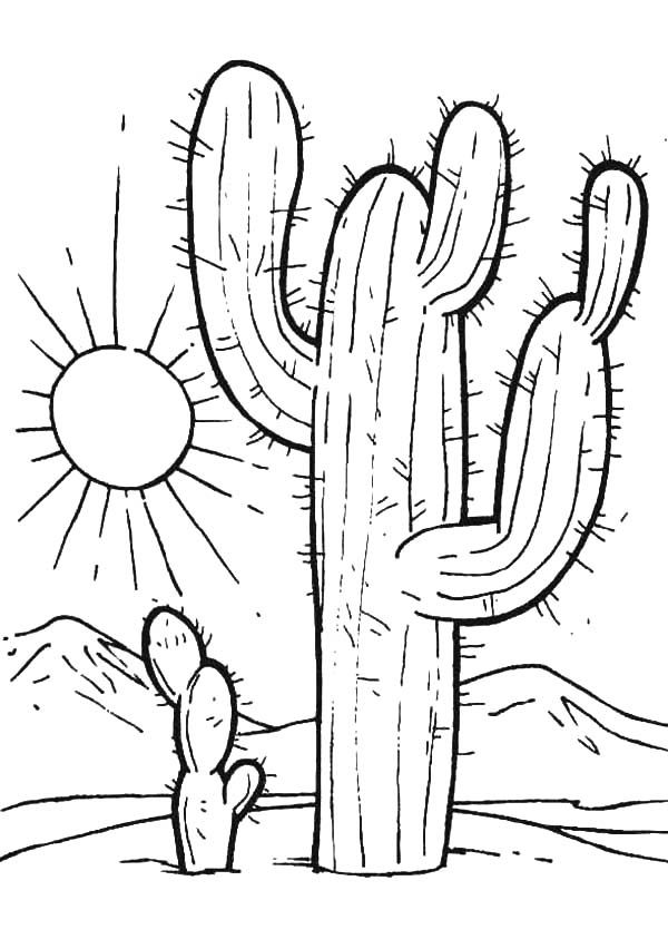 Desenho de Cacto no Deserto com Sol Forte para Colorir