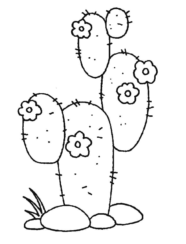 Desenho de Cacto Normal para Colorir Gratuitamente