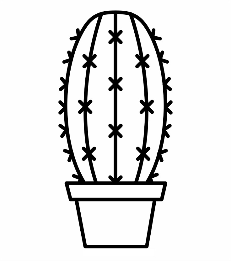 Desenho de Cacto