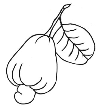 Desenho de Caju para Pintar