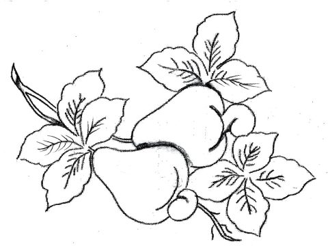 Desenho de Dois Cajus para Colorir de graça